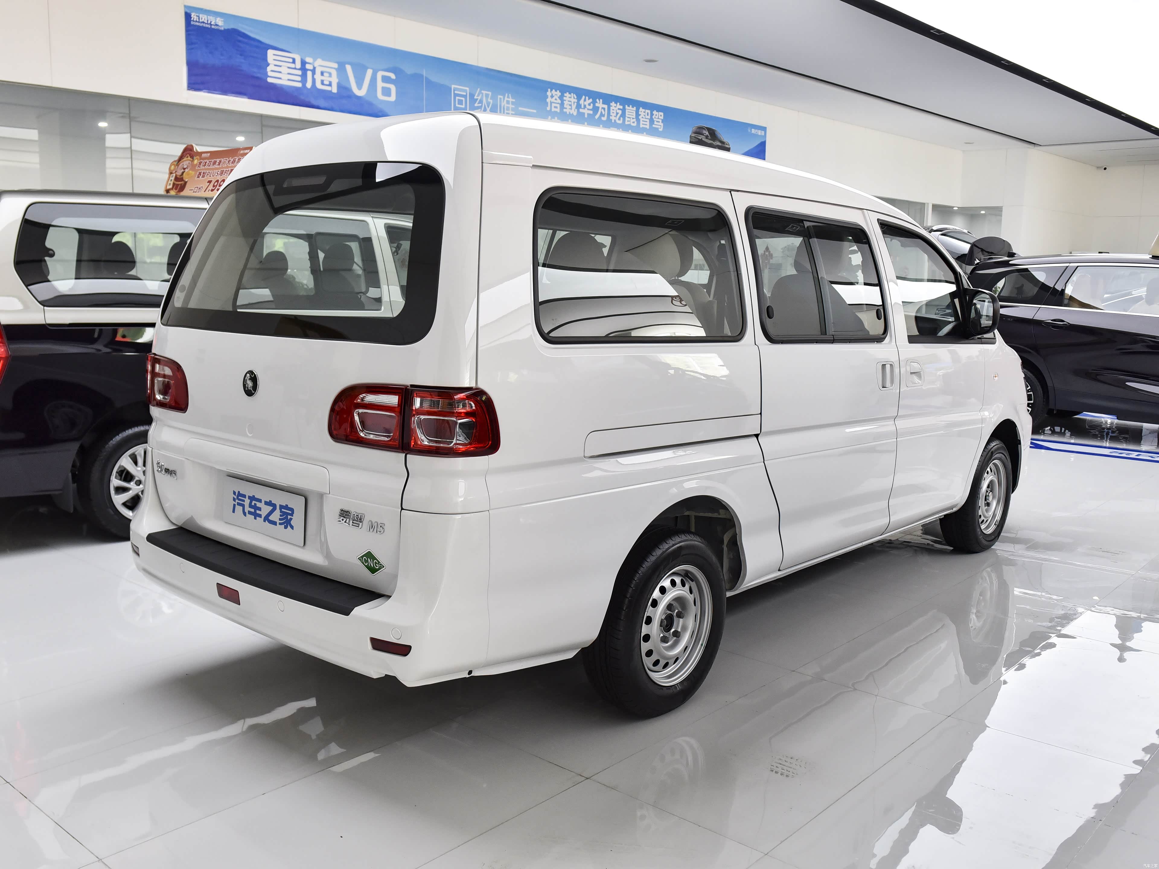 Forthing Lingzhi, миниатюра 7