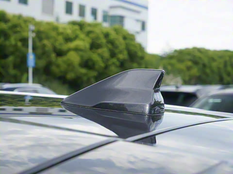 2025�� 290TGDI DCT����� 7��