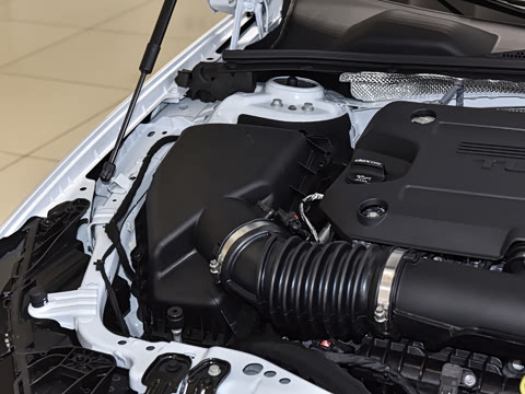 2025�� 28T ������