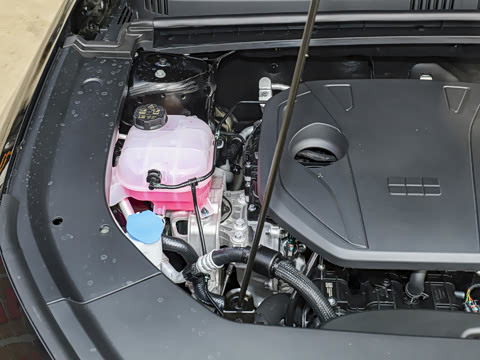 2026�� 60km̽����