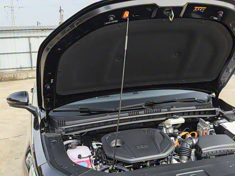 2026�� 60km̽����