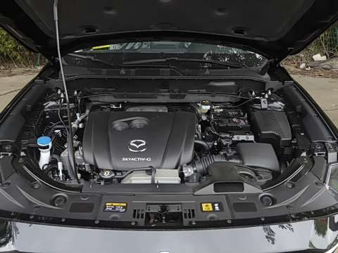 2025�� 2.0L �Զ���������Pro