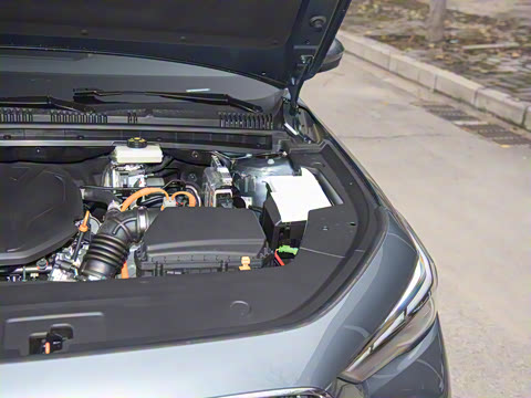 2026�� 60km̽����