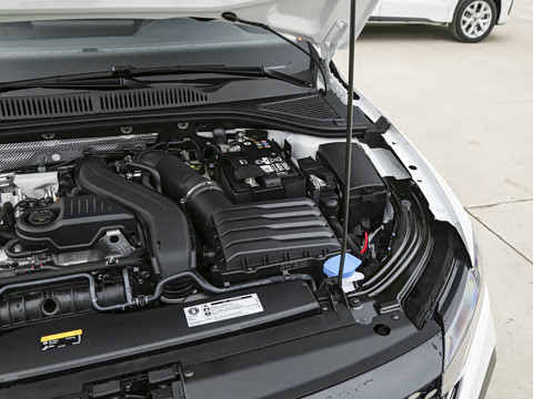 2026�� 300TSI DSG�ǿ����Ȱ�