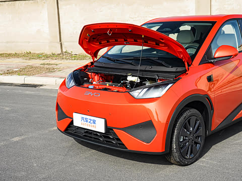 2026�� 305km ���ɰ�