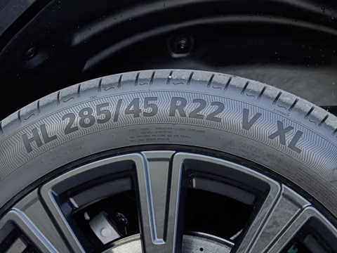 2025�� ������