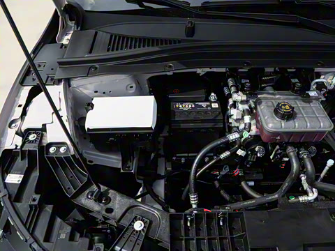 2025�� 550�����״��