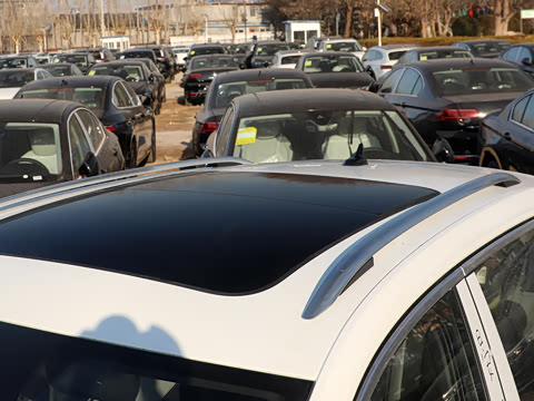 2026�� 300TSI DSG���������