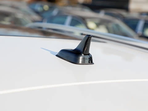 2026�� 300TSI DSG���������