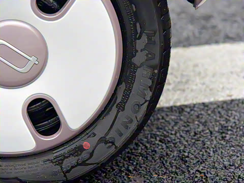 2026�� 222km ��ҫ��