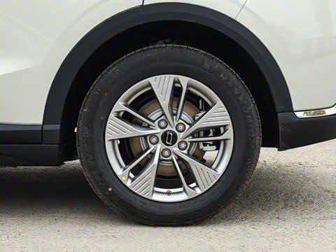 2025�� 565km ������