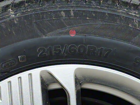 2025�� 565km ������