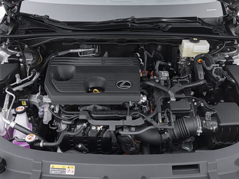 2026�� 300h ������