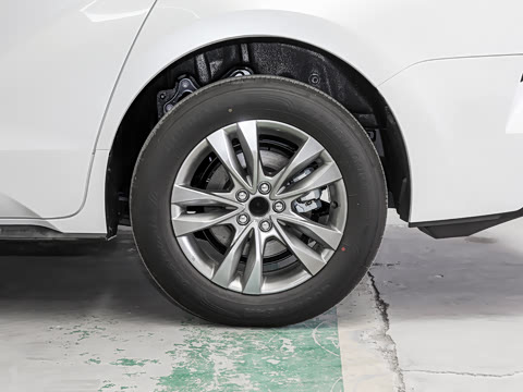 2027�� 2.5L ˫������������