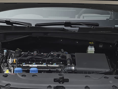 2026�� 1.5L ��϶���