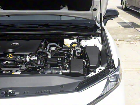 2026�� ˫�� 2.0HXS �˶�Plus��