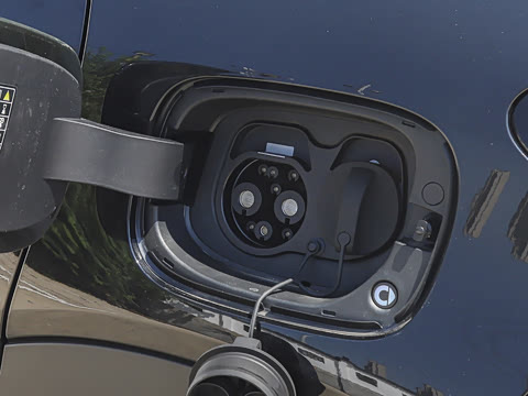 2026�� �鶯��������