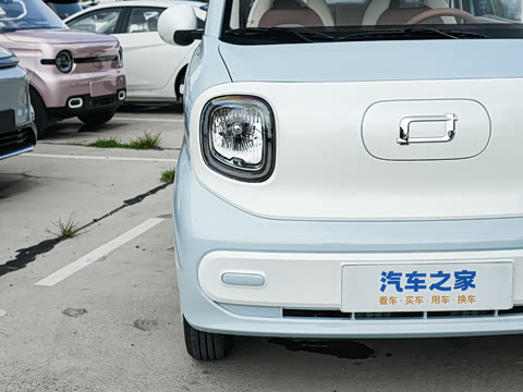 2026�� 222km �Ų���