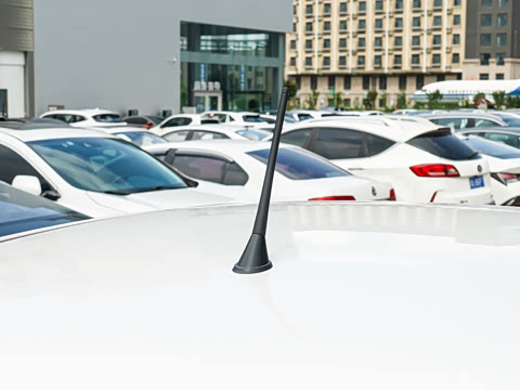 2026�� 222km ��ҫ��