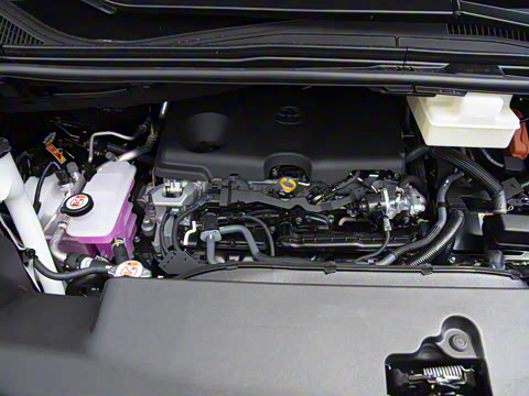 2025�� �ʹ� ˫�� 2.5L ī���