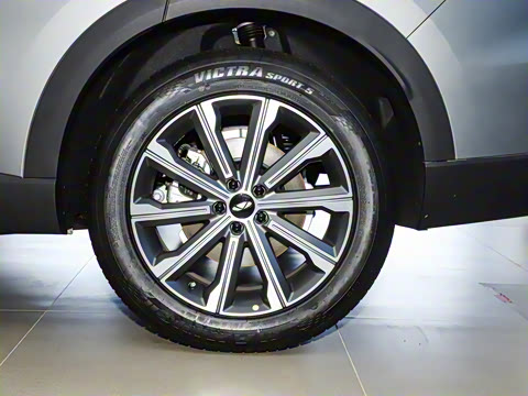 2025�� 120 �������������� 5�� �������