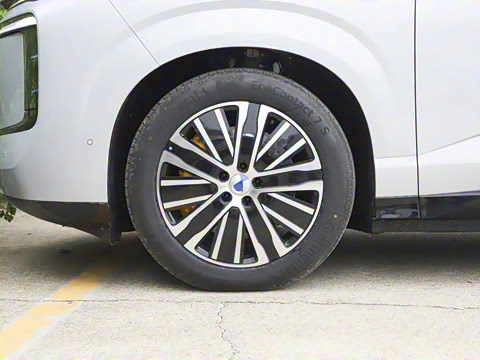 2025�� ������