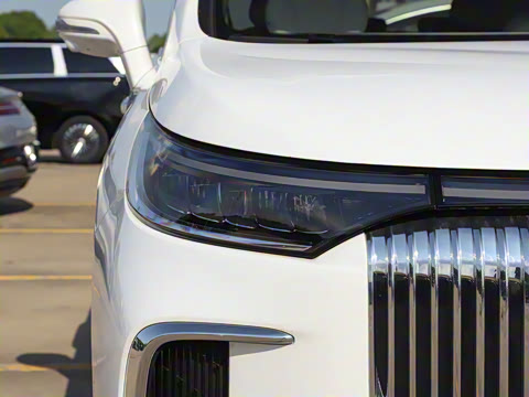 2025�� EV �������������