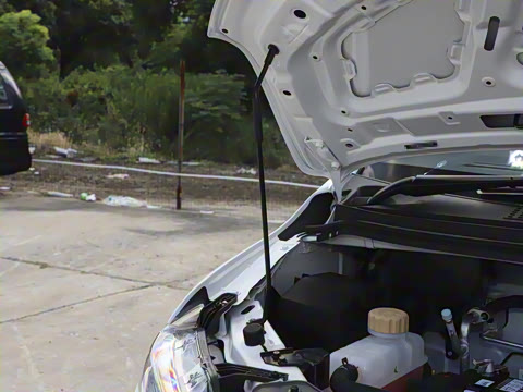 2025�� 460km ������ 9��