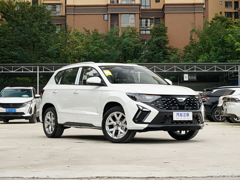 2026�� 280TSI �ֶ�����Plus��