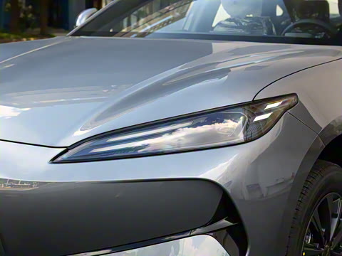 2025�� 520�ǻݳ��а�