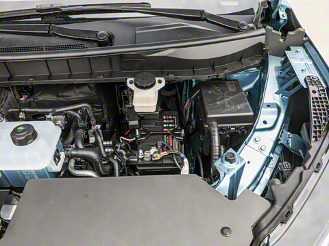 2026�� ��ƽ�� ������������