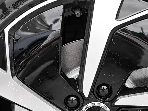 2025�� DM-i 205�캽Pro��