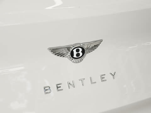 2026�� 4.0T V8 ������ŶȰ�