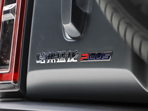 2026�� 255km ������