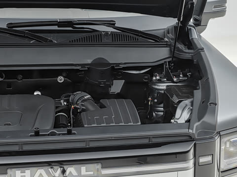 2026�� 255km ������