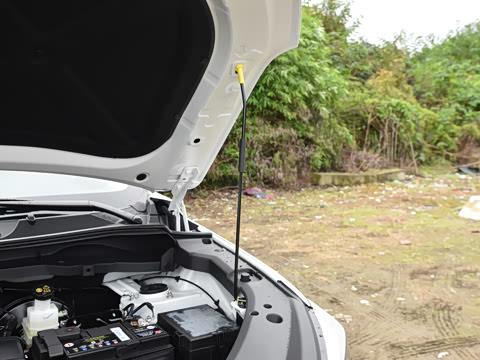 2026�� PRO 1.5T DCT ������ 7��