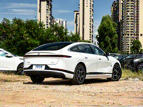 2026�� �����������̰� 310������