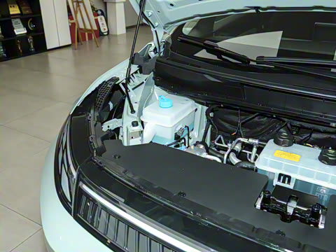 2026�� ��ƽ�� ������������