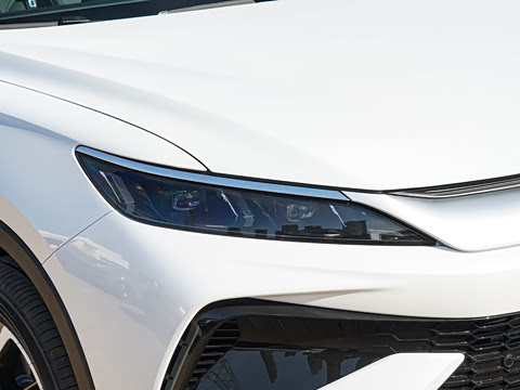 2026�� DM-i 220KM��Խ��