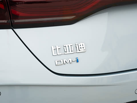 2026�� DM-i 128KM��ȡ��