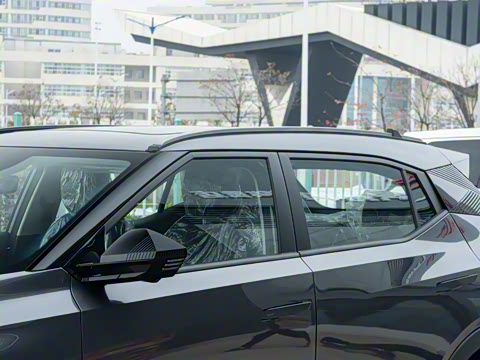 2026�� Ӱ�� 270T ������