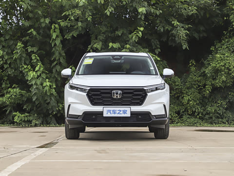 2026�� ȫ��30����ҫ�� 1.5T ��������5����