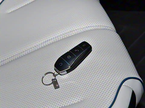 2025�� DM-i 55KM ���а�