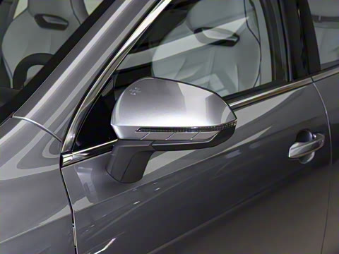 2025�� DM-i 55KM ���а�