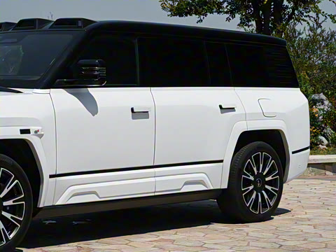 2025�� ������