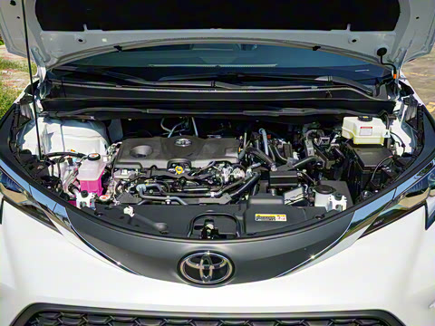 2026�� 2.5L�춯 ���ʰ�