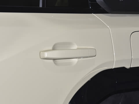 2025�� Max+