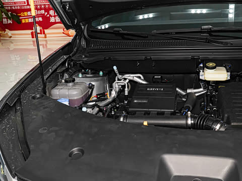 2026�� DM-i 220KM׿Խ��