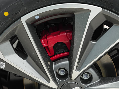 2026�� �˶������