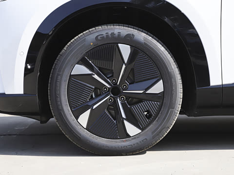 2025�� ����600 Pro